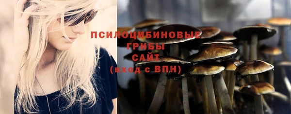 гидра Сосновый Бор