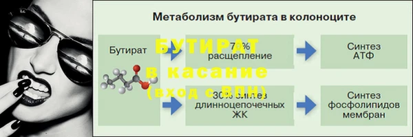 гидра Сосновый Бор