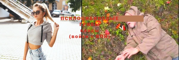 гашик Снежногорск